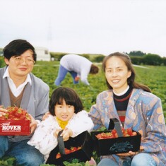 Jingqi, Fei and Yun strawberry picking in Hull for the first time, 1996
