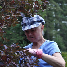 In her Woodinville garden 2010