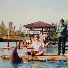 Teaching dolphins new behaviors. Freeport, Bahamas.