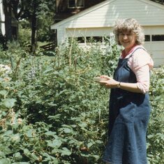 Gardening, July 1984