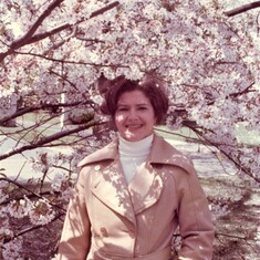 My Cherry Blossom Queen, Washington, DC