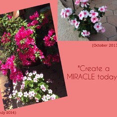 Create a miracle!