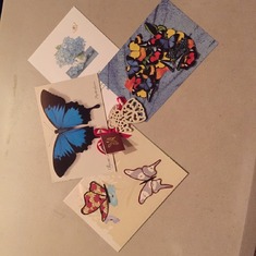 Cards Pam sent to Joann  BUTTERFLYS