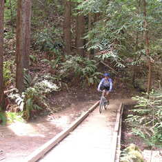 One of many great days on the trails of Santa Cruz with dad.