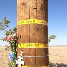 the pole our grandson hit and was killed may 23rd 2012