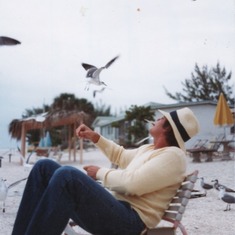 dad beach gulls