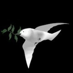 his dove of peace