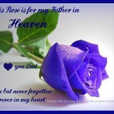 Blue rose for Dad