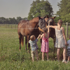Celebration Of Life_Morristown In Farm_Horses+Kids