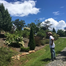 John surveys our shrub bank on our last day at Shangri-la.