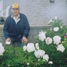 Dad in his rose garden