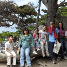 Point Lobos, Carmel, Aug 1, 2011