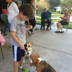 Socializing with the neighbors at a dog birthday party