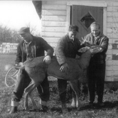 Dad and some friends and poor deer Canada 1963
