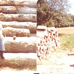 Wood cutting in PA-John, Ed and Charlie Rich