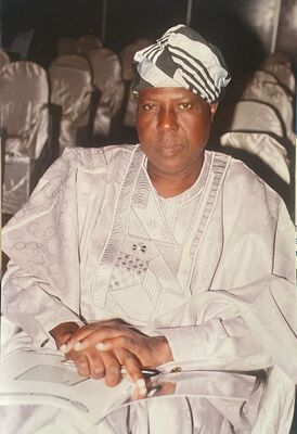 Olugbenga Johnson Idowu