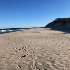 Newcomb Hollow, February 9th, 2019