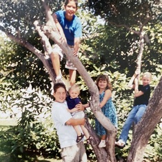 Cousins hanging out in Vanaisa's olive tree. Anaheim, California