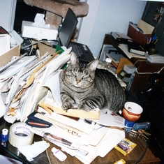 Joe's office manager was not well trained, but much loved.