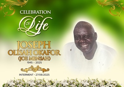JOSEPH OLISAH OKAFOR-IZUNA