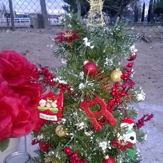 Accident Site Tree To Match Daddy's at Home