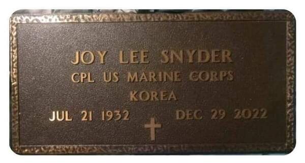 Joy Lee-Aucoin Snyder
