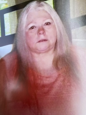 Joyce Ann Hayes