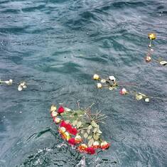 Roses lay on the waters miles off shore with Love from those who Love and Treasure her Life and the time we shared