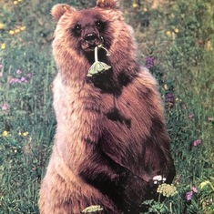 John’s “Flower Bear” photo