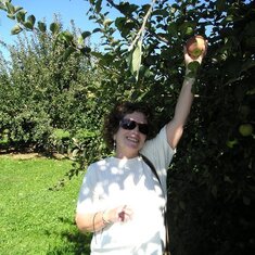 Judi finding the perfect apple