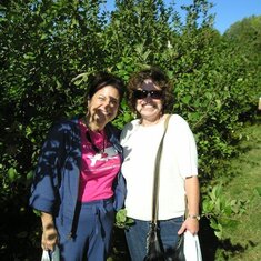 Judi & Linda Apple Picking 2010