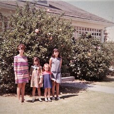 Judy, Penny, Debbie & Terri 1967