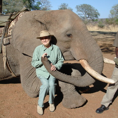 Judy's favorite elephant, Doma
