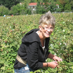 Picking Raspberries in Mora, 2013