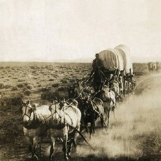 Wagons West...