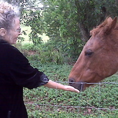 Kalia and Sugar the horse, her "naaaybor" in Kauai