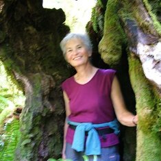 mom in a tree