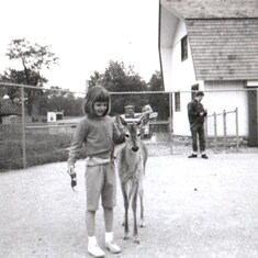 1967 Ft. Wayne Petting Zoo.  So cute!!