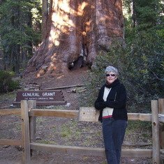 Sequoia National Park, 2008