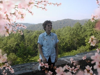 Kathy Celia Wanless