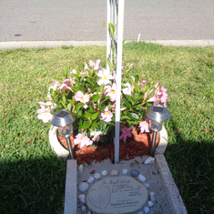Kathy's memorial flowers looking beautiful