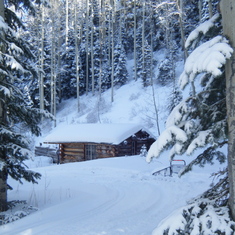 Our "Trapper's Cabin"