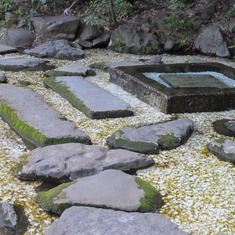 Spring area in Inokashira park where Kelly's ashes were scattered. This spring feeds the Kanda river which flows through Tokyo.