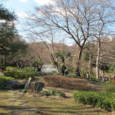 Setting of Kelly's Tokyo memorial...Inokashira Park