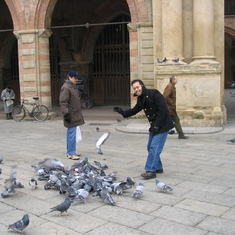 Afraid of the pigeons, Bologna 2004