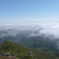 Beautiful view from where Dad's ashes were sprinkled, on Mt. Tam