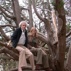 2004 Ken n T in Golden Gate Tree