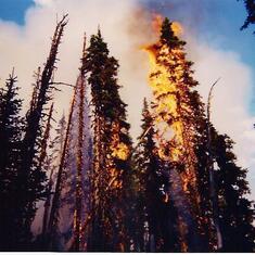 Kenton enjoyed....the flames. MT or ID. Aug. 1994