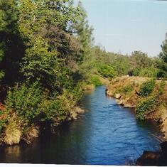 A favorite place of Kenton's to fish. Coleman Ditch, Tehama Co., CA 2001