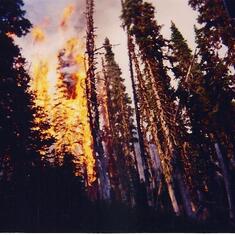 Kenton loved the beauty of fire. Idaho or Montana Aug 1994